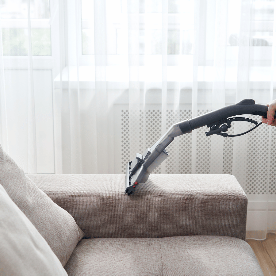 sofa cleaning